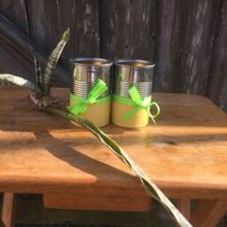 You Are My Sunshine Planters - thumbnail 2