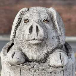 Pig in Barrel Statue Funny Pig Sculpture Garden Decor Stone Farm Animal Tub Piglet Ornament Outdoor Country Figurine Humorous - thumbnail 3