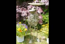 Large Green Frog Bird Feeder - thumbnail 1