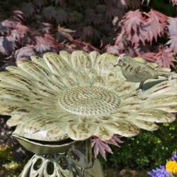 Large Green Frog Bird Feeder - thumbnail 3