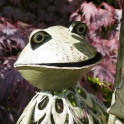 Large Green Frog Bird Feeder - thumbnail 2