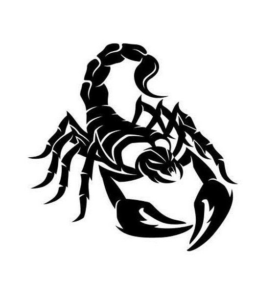 Scorpion Decal Decor Vinyl Car Bonnet Side Sticker Wall Art Graphic Silhouette Van Lorry Motorhome Campervan - image 1