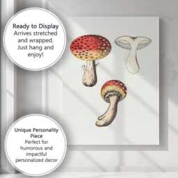 Vintage Red Toadstool Mushroom Botanical Illustration Canvas Wall Art Print Decor Picture Ready To Hang - thumbnail 3