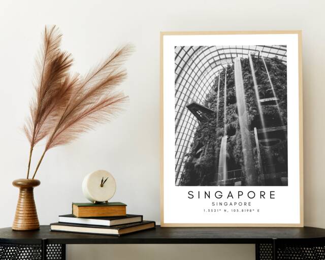 Singapore Gardens By The Bay Print Black & White Skyline Art - image 1