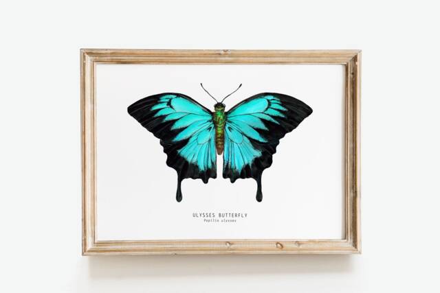 Ulysses Butterfly Print - Papilio - Dunk Island, Mountain Blue Watercolor Art Living Room Poster Butterflies Nursery Prints Girl - image 1