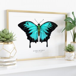 Ulysses Butterfly Print - Papilio - Dunk Island, Mountain Blue Watercolor Art Living Room Poster Butterflies Nursery Prints Girl - thumbnail 3