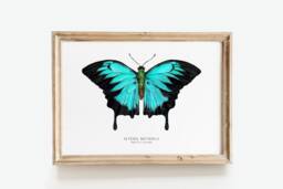 Ulysses Butterfly Print - Papilio - Dunk Island, Mountain Blue Watercolor Art Living Room Poster Butterflies Nursery Prints Girl - thumbnail 1