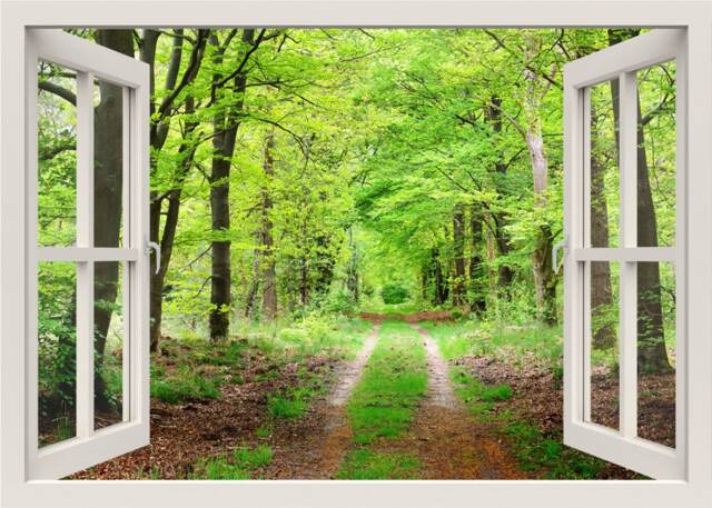 Woods Wall Decal, Forest Mural, Sticker, Pathway Nature 3D Window View Home Living Room Decor