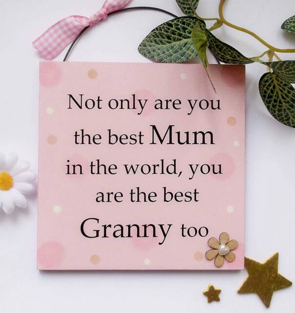 Not Only Are You The Best Mum in World Granny Too Wooden Gift Plaque 13cm X - image 1