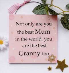 Not Only Are You The Best Mum in World Granny Too Wooden Gift Plaque 13cm X - thumbnail 1