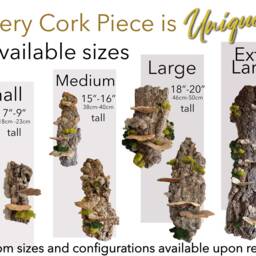 Floating Forest Art Gift, Moss On Cork Bark Natural Wall Decor, Ecofriendly Hanging Bark, Preserved & Mushrooms, Vertical Garden Indoor - thumbnail 2