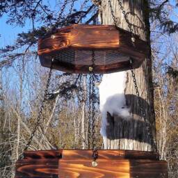 Double Hanging Octagon Platform Bird Or Squirrel Feeder Cedar Wood Tbnup #1Dob - thumbnail 3