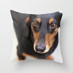 Dog Pillow Dachshund - Cushion Doxie Gift 16x16 18x18 20x20 Cover Black & White - thumbnail 1