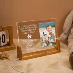 Personalized Pet Memorial Led Night Light, Custom Photo Lover Dog Keepsake Sign, Loss Light Up Of Cat - thumbnail 2