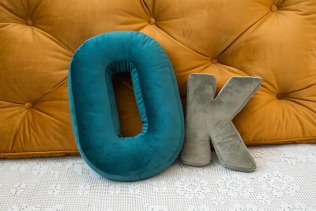Initial Pillow Letter Cushion Velvet Decorative Monogram - image 1