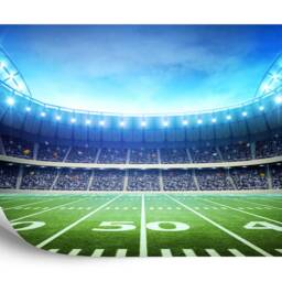 American Football Stadium Wallpaper Mural, Peel & Stick Wall Decal - thumbnail 2