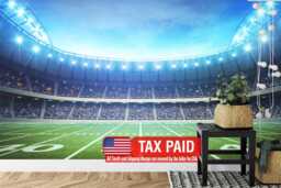 American Football Stadium Wallpaper Mural, Peel & Stick Wall Decal - thumbnail 1