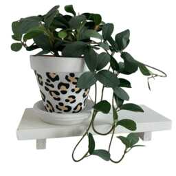 Leopard Print Plant Pot Black & Gold Home Decor - 13 cm - thumbnail 4