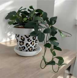Leopard Print Plant Pot Black & Gold Home Decor - 13 cm