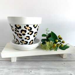Leopard Print Plant Pot Black & Gold Home Decor - 13 cm - thumbnail 3