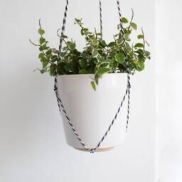 Wall Plant Hanger Mini Set Of 2, Hook For Hanging Plants, Small Hanging, Holder, Wooden Hook, Holder - thumbnail 3