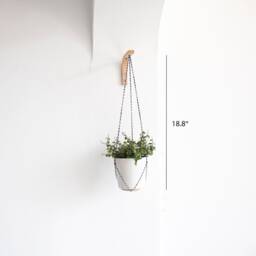 Wall Plant Hanger Mini Set Of 2, Hook For Hanging Plants, Small Hanging, Holder, Wooden Hook, Holder - thumbnail 2