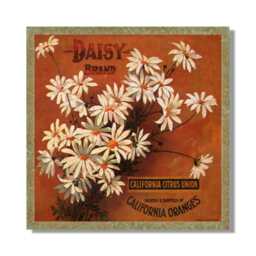 Floral Sign Bundle - Fruit Handcrafted Set Of 3 Vintage Signs - thumbnail 1