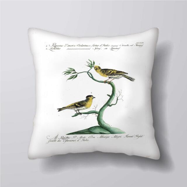 Baby Bird Vintage Botanical -Cushion Cover Case Or Stuffed With Insert - image 1