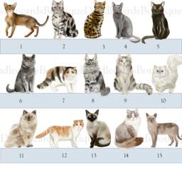 Reserved For Cat Cushion - thumbnail 3