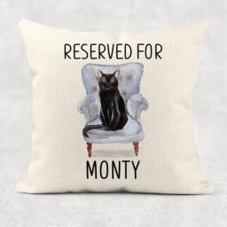 Reserved For Cat Cushion - thumbnail 1