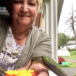 1 Hum-Drum??? & Window Perch 3 Port Mini Hand Held Hummingbird Feeders - thumbnail 3