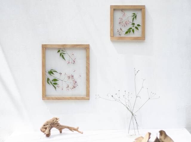 Framed Wall Decor Set - Botanicals Real Dried Flowers Pressed Flowers Herbarium Flower Art Decor - image 1
