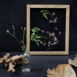 Framed Wall Decor Set - Botanicals Real Dried Flowers Pressed Flowers Herbarium Flower Art Decor - thumbnail 2