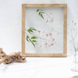 Framed Wall Decor Set - Botanicals Real Dried Flowers Pressed Flowers Herbarium Flower Art Decor - thumbnail 3