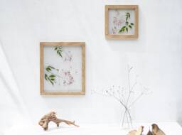 Framed Wall Decor Set - Botanicals Real Dried Flowers Pressed Flowers Herbarium Flower Art Decor - thumbnail 1