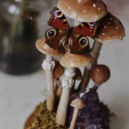 Mushroom & Amethyst Crystal Terrarium - Under Glass Dome Magic Witchy Decoration - thumbnail 2
