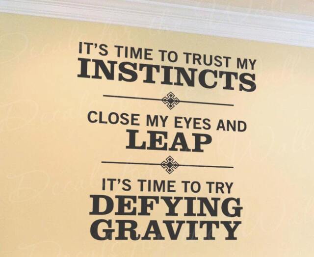 Try Defying Gravity Wicked Vinyl Wall Decal Art Decor Quote Sticker Saying Q03 - image 1