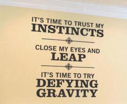 Try Defying Gravity Wicked Vinyl Wall Decal Art Decor Quote Sticker Saying Q03 - thumbnail 1