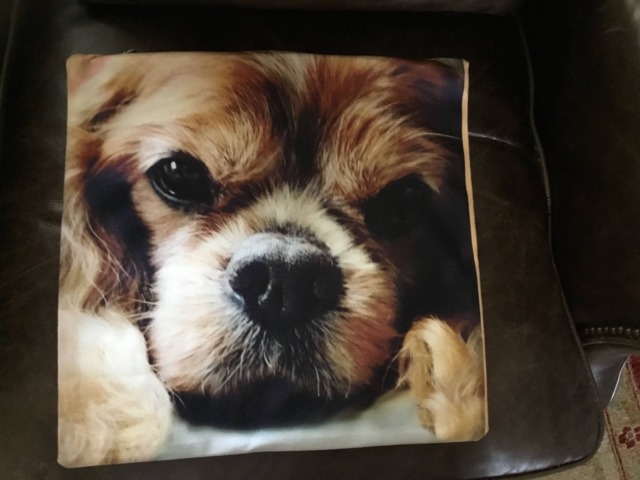 Cavalier King Charles Spaniel, Blenheim Pet Portrait Pillow Cover, Top Quality, Double Sided, Zipper, Machine Washable, Super Soft - image 1