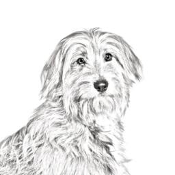 Pyrenean Shepherd - Wooden Stand For Candles/Pens With The Image Of A Dog New Collection - thumbnail 2