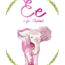 Animal Alphabet, E Is For Elephant, Nursery Art, Elephant Nursery, Alphabet Nursery Print - thumbnail 2