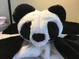 Minky Snuggle Pink Cow-Reserved