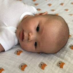 Jeni & Jane Muslin Cotton Fox Baby Swaddle Blankets Set Of 2 - thumbnail 4