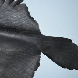 Leather Bird - Raven Wall Hanging 9 Inch Wingspan, 12 Or 15 Wingspan Upgrades - thumbnail 3