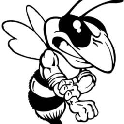 Hornet Car Bonnet Side Sticker Van Vinyl Graphic Decal Sign Wall Art Door Motorhome Campervan Racing Rally Stock - thumbnail 2