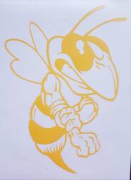 Hornet Car Bonnet Side Sticker Van Vinyl Graphic Decal Sign Wall Art Door Motorhome Campervan Racing Rally Stock