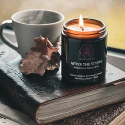 Rain, Petrichor & Soil Candle - After The Storm Reading Rainy Afternoon Gift