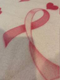 xlg Double-Layer Blanket - Pink Ribbon