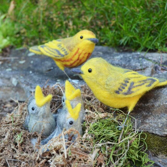 Mr. Or Mrs. Yellow Warbler & Family, Needle Felted Birds Babies, Wool Sculpture - image 1