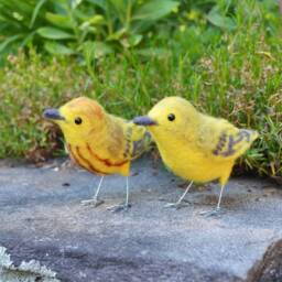 Mr. Or Mrs. Yellow Warbler & Family, Needle Felted Birds Babies, Wool Sculpture - thumbnail 4